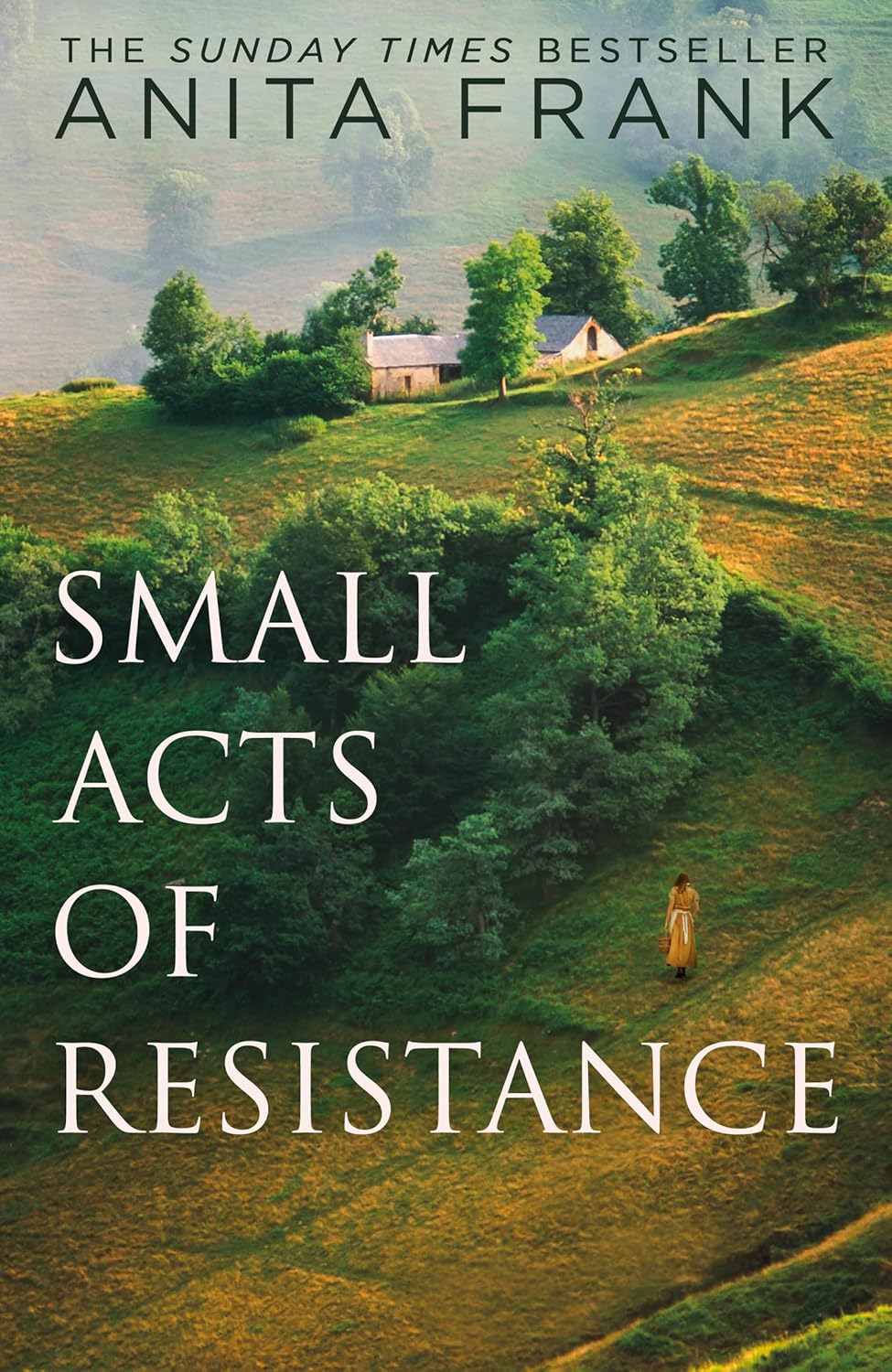 Small-Acts-of-Resistance-by-Anita-Frank-PDF-EPUB.jpg