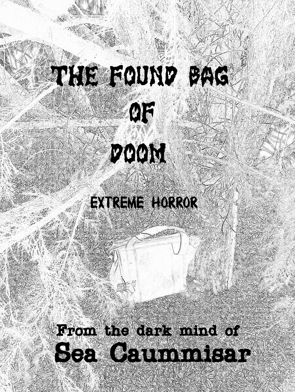 The-Found-Bag-of-Doom-by-Sea-Caummisar-PDF-EPUB.jpg