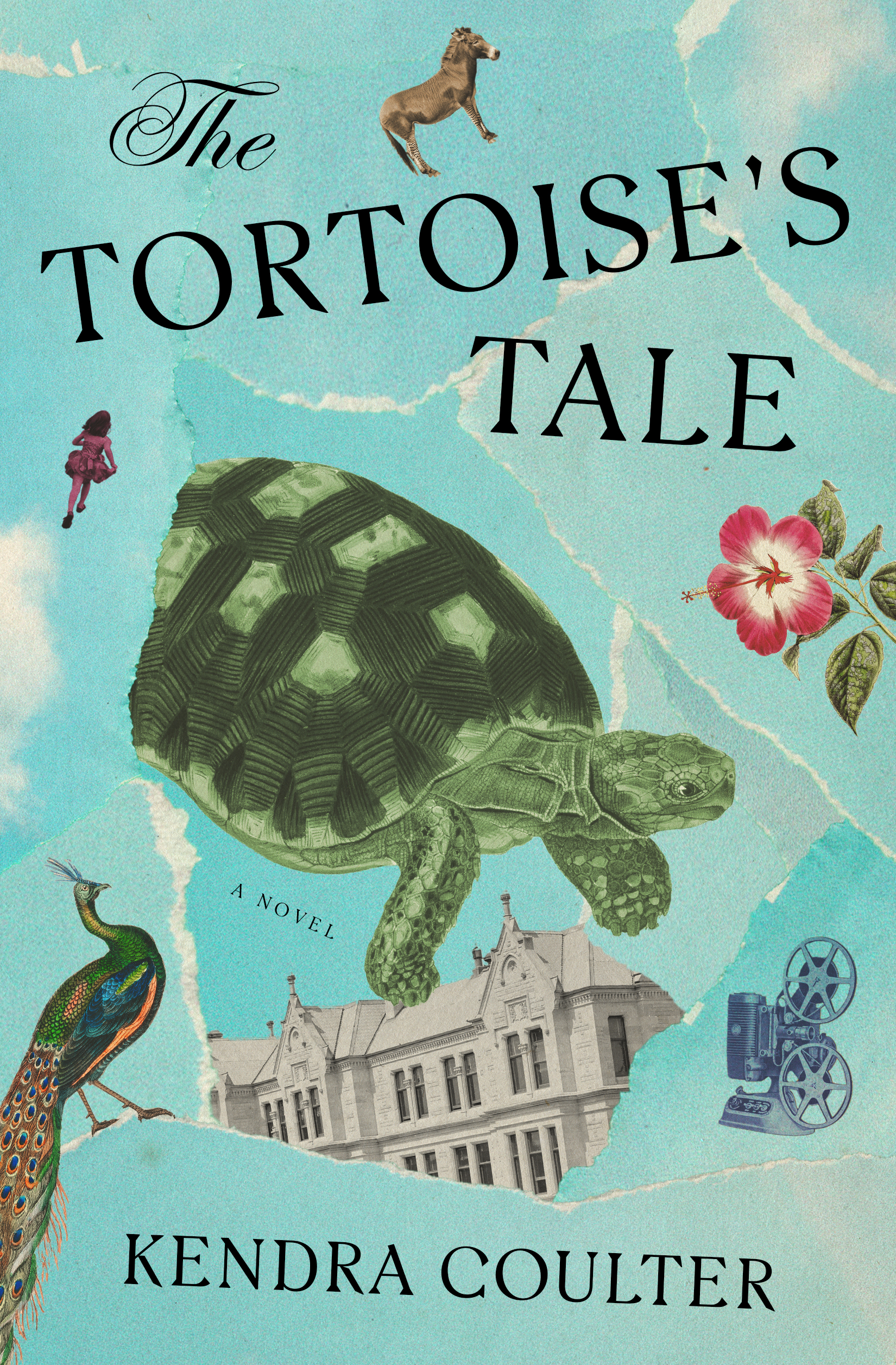 The-Tortoise's-Tale-by-Kendra-Coulter-PDF-EPUB.jpg