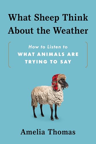 What-Sheep-Think-About-the-Weather--How-to-Listen-to-What-Animals-Are-Trying-to-Say-by-Amelia-Thomas-PDF-EPUB.jpg