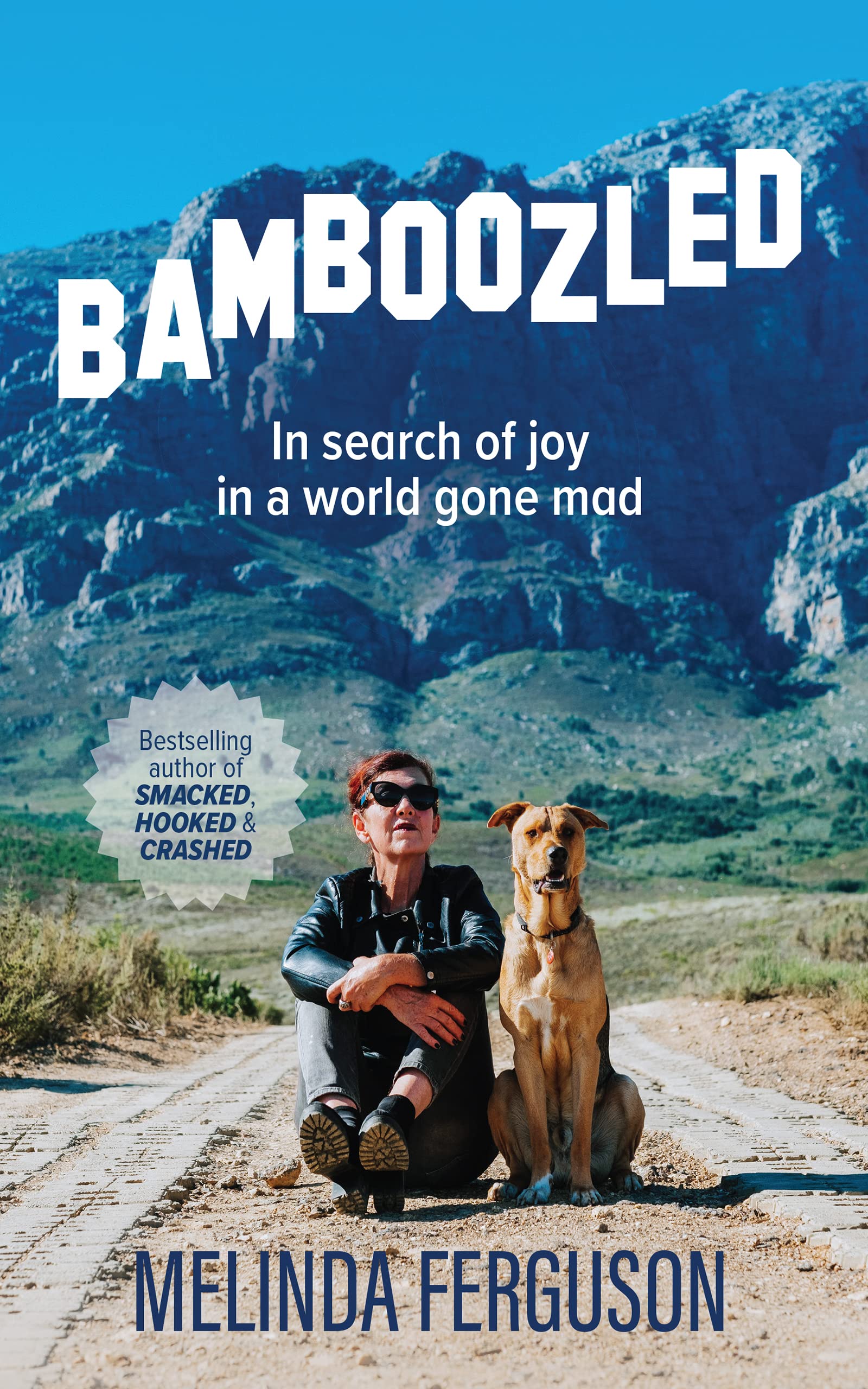 BAMBOOZLED--In-search-of-joy-in-a-world-gone-mad-by-Melinda-Ferguson-PDF-EPUB.jpg