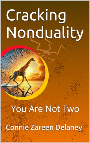 Cracking-Nonduality--You-Are-Not-Two-by-Connie-Zareen-Delaney-PDF-EPUB.jpg