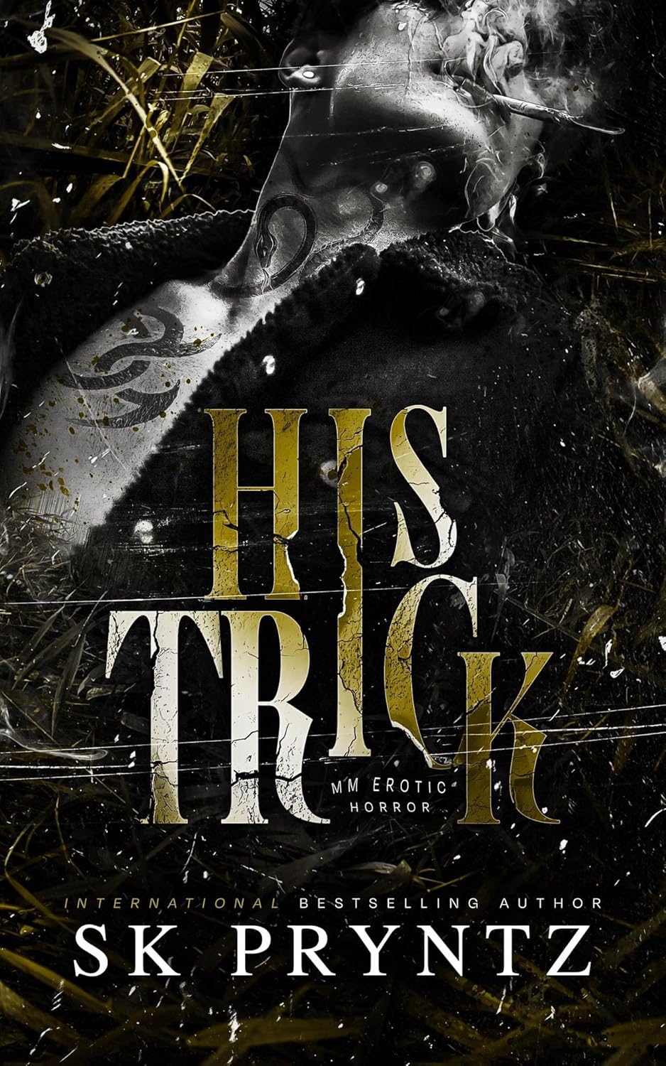 His-Trick-by-SK-Pryntz-PDF-EPUB.jpg