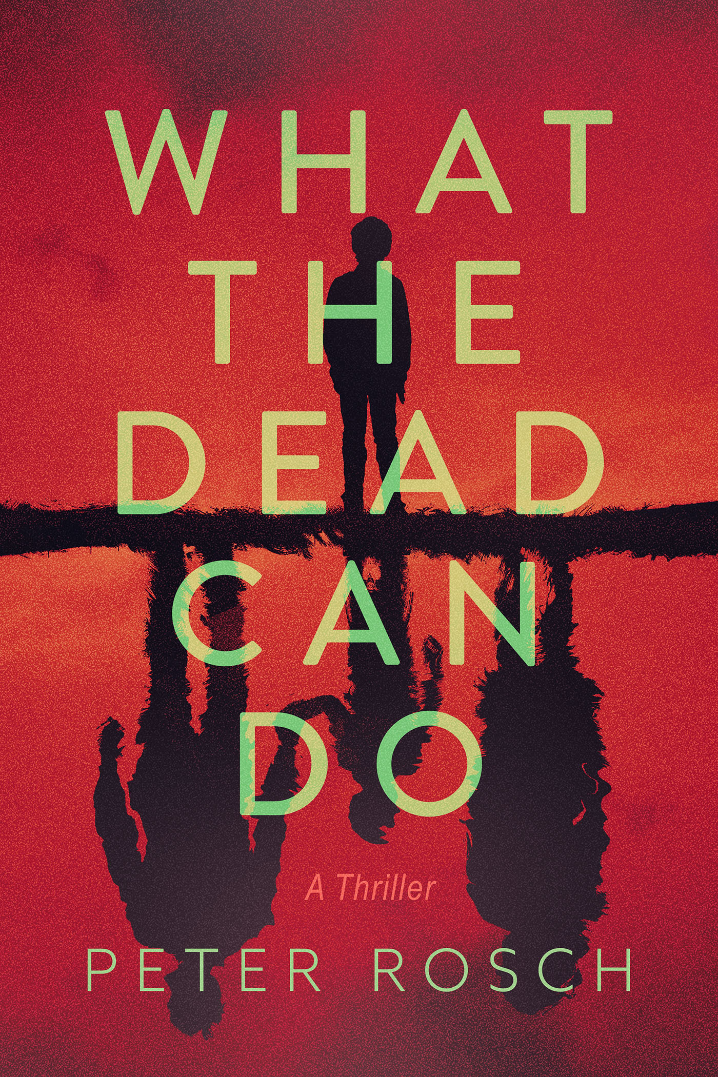 What-the-Dead-Can-Do-by-Peter-Rosch-PDF-EPUB.jpg