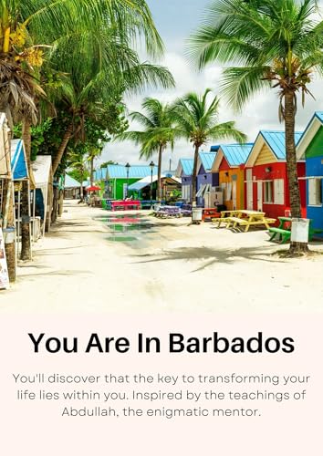 You-Are-In-Barbados-by-Bruno-Silva-PDF-EPUB.jpg